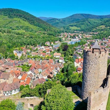 Les Chambres De La Weiss Kaysersberg-Vignoble Eksteriør bilde